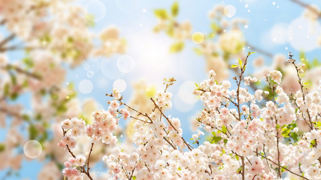 烟台谢奶奶学习练功辟谷,自第三天开始高血压恢复正常!