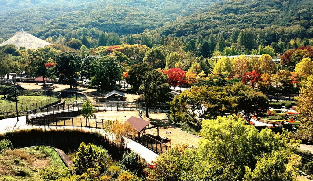 天健辟谷养生技术让烟台融基集团高管及其家人受益多多