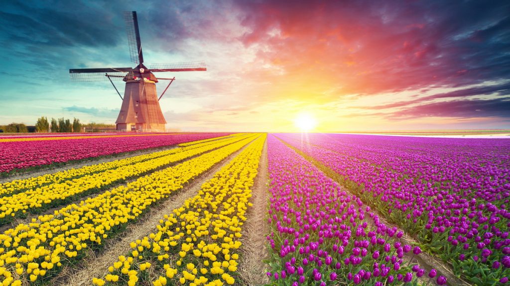 为什么习练养生气功，可以改善、调理不孕不育症？