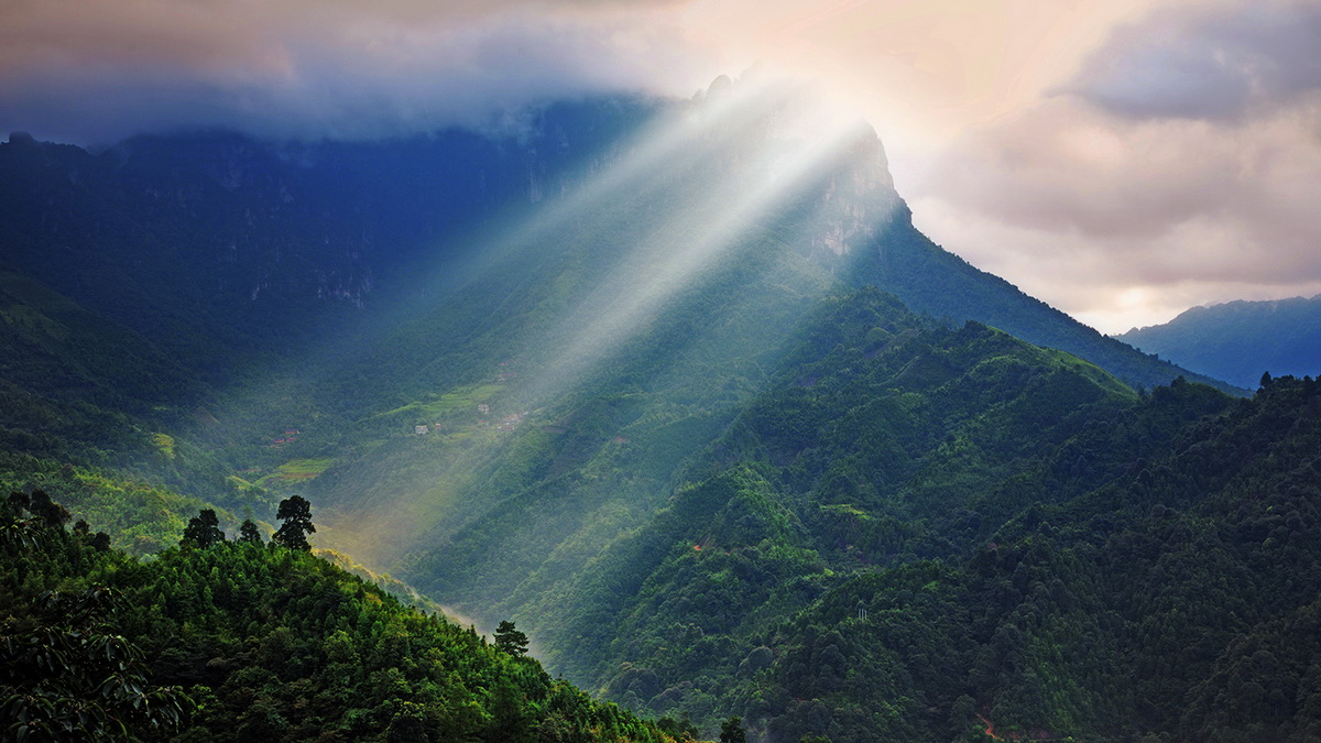 张丹丹:健康福音——天健辟谷养生技术